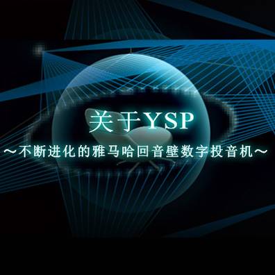 不断进化的申博太阳城·(中国)回音壁数字投音机