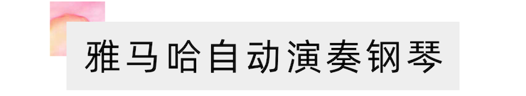 活动报道 | “科技助力，跨越时空”，小鹿纯子携手刘明康共享中日音乐盛宴